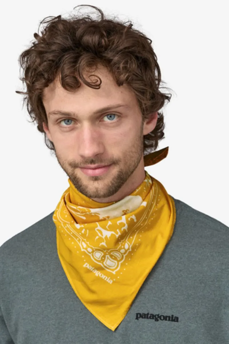 Surboard Bandana