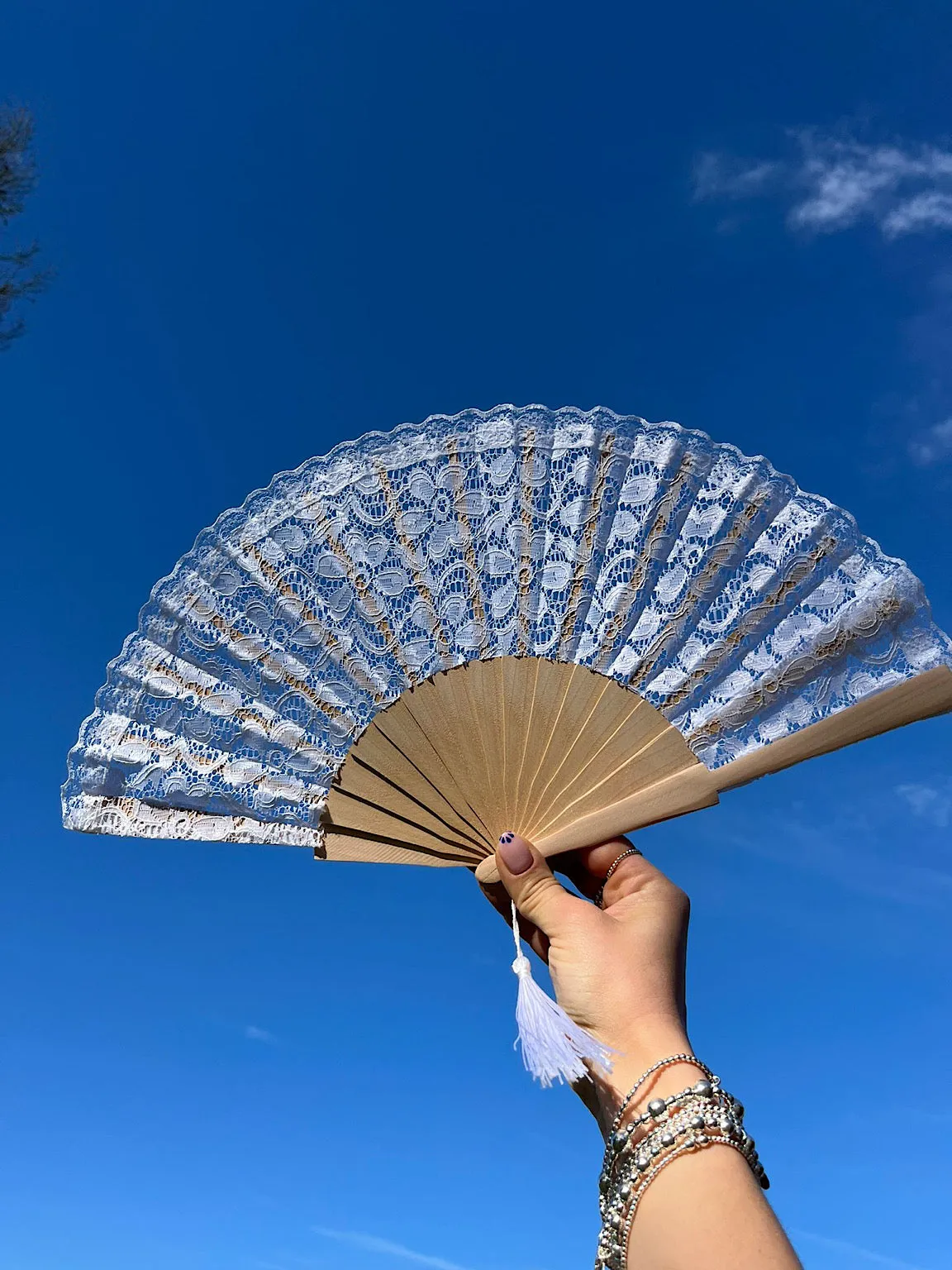 White Luxury Floral Lace Tassel Fan